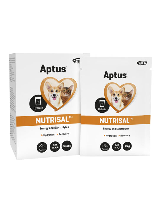 Aptus Nutrisal 10 x 25 g - Återhämtning