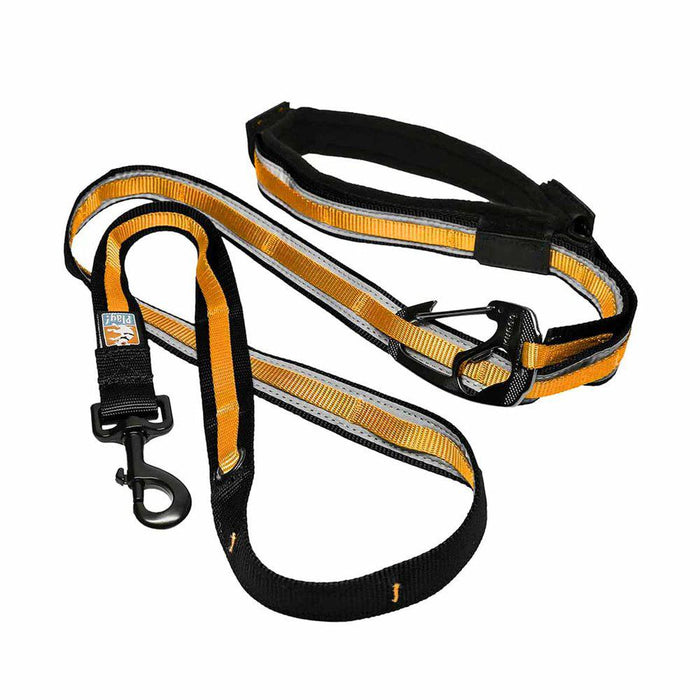 Kurgo Reflect & protect Quantum Leash Black/orange