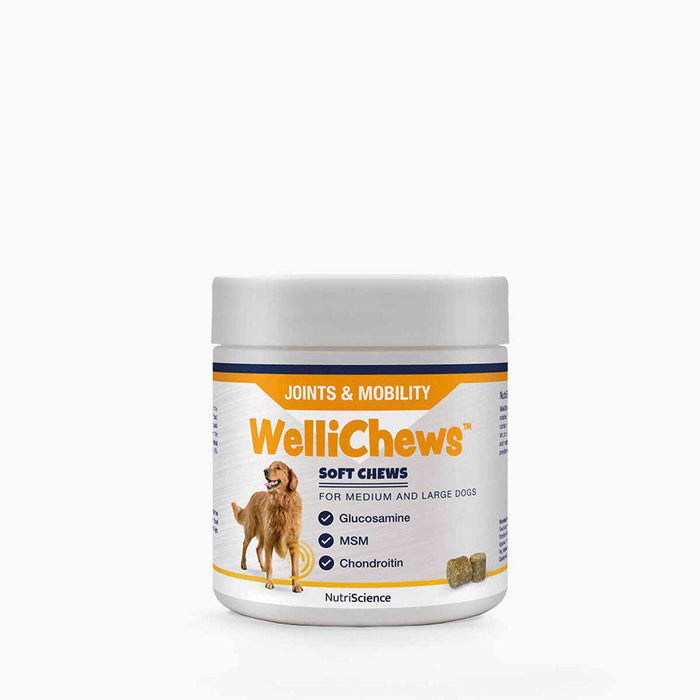 Wellichews Joint Medium/large Dog Se/fi60 St