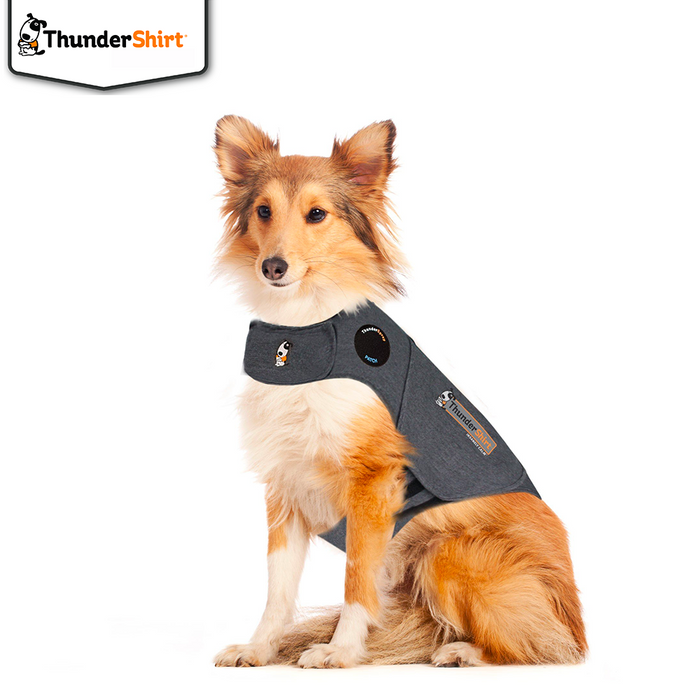 Thundershirt Hund - XL